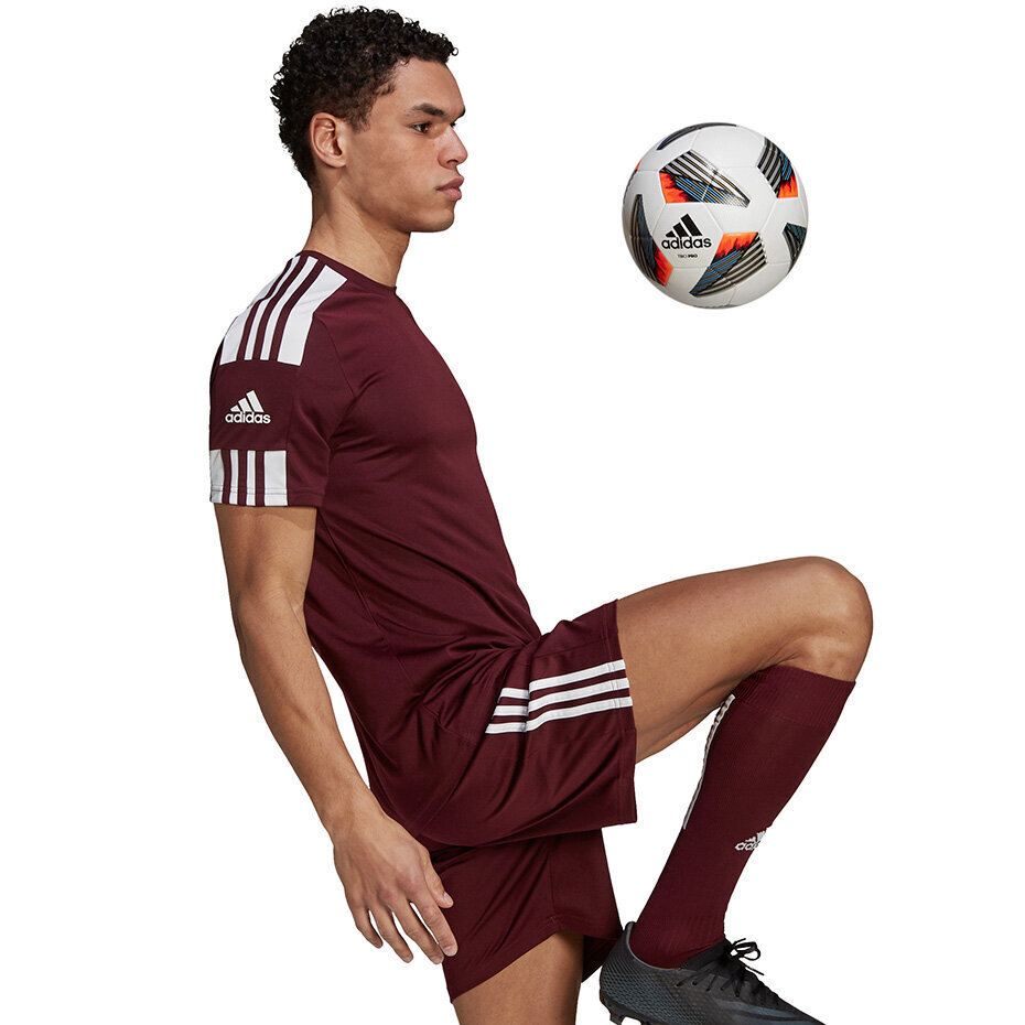 Vīriešu blūze ar īsām piedurknēm Adidas Squadra 21 Jersey GN8091, bordo krāsa cena un informācija | Futbola formas un citas preces | 220.lv