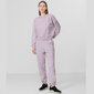 Džemperis sievietēm 4F W H4L22-BLD02352S, violets cena un informācija | Sporta apģērbs sievietēm | 220.lv