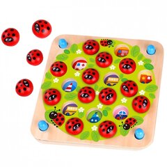 Atmiņas spēle Ladybug cena un informācija | Rotaļlietas zēniem | 220.lv