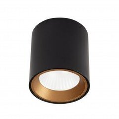 Griestu lampa Maxlight Tub kolekcija melna 6,5x&Oslash;6cm 7W 3000K cena un informācija | Griestu lampas | 220.lv