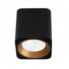 Griestu lampa Maxlight Tub kolekcija melna 6x6cm 7W 3000K C0212 cena un informācija | Griestu lampas | 220.lv