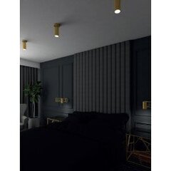 MAXLIGHT C0146 LAMPA SUFITOWA VARSOVIA цена и информация | Фонарик | 220.lv