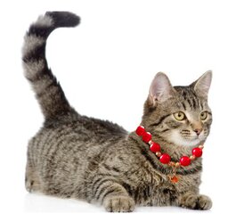 Ожерелье из бисера для кошек и собак без застежки цена и информация | Поводки и ошейники для кошек | 220.lv
