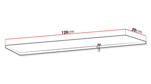 Полка JOSHUA NEW PW2-белый (белый) цена и информация | Полки | 220.lv