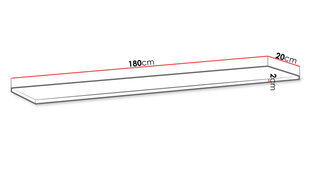 Полка JOSHUA NEW PW1-белый (белый) цена и информация | Полки | 220.lv