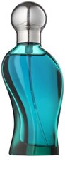 Tualetes ūdens Giorgio Beverly Hills Wings for Men EDT vīriešiem 100 ml цена и информация | Мужские духи | 220.lv