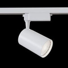 LED sliežu prožektors Maytoni Technical, balts 17W 3000K TR003-1-17W3K-W cena un informācija | Sliežu apgaismojuma sistēmas | 220.lv