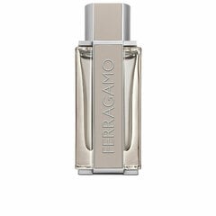 Tualetes ūdens Salvatore Ferragamo Ferragamo Bright Leather EDT vīriešiem 100 ml cena un informācija | Salvatore Ferragamo Smaržas, kosmētika | 220.lv