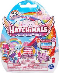 Hatchimals Family Surprise - Little kid or twin babies - с 1 маленькой игрушкой, 60+ to collect цена и информация | Hatchimals Духи, косметика | 220.lv