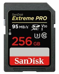 Sandisk By Western Digital SDSDXXD-256G-GN4IN 256 GB cena un informācija | Atmiņas kartes mobilajiem telefoniem | 220.lv