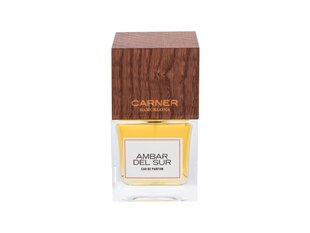 Parfimērijas ūdens Custo Barcelona Ambar Del Sur EDP unisex 100 ml цена и информация | Женские духи | 220.lv