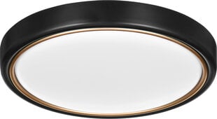 Activejet LED gaismeklis VERDI Black/Gold 23W цена и информация | Монтируемые светильники, светодиодные панели | 220.lv