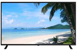 LCD Monitor|DAHUA|LM55-F400|55"|3840x2160|16:9|60Hz|9.5 ms|Speakers|DHI-LM55-F400 cena un informācija | Monitori | 220.lv