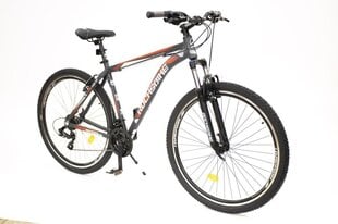BICYCLE 29" AIM 1.2 GREY/RED/8681933422019 ROCKSBIKE цена и информация | Велосипеды | 220.lv