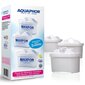 Aquaphor B100-25 Maxfor цена и информация | Ūdens filtri | 220.lv