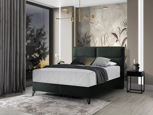Кровать NORE Safiro, 180x200 см, темно-зеленый цвет цена и информация | Кровати | 220.lv