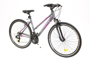 VELOSIPĒDS 28" COMFORT 3.0/8681933422255 ROCKSBIKE цена и информация | Велосипеды | 220.lv