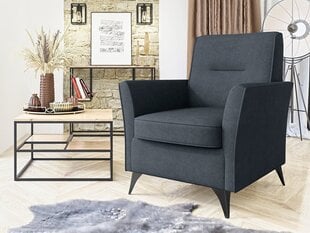Krēsls Luciano-Zetta 300 цена и информация | Кресла в гостиную | 220.lv