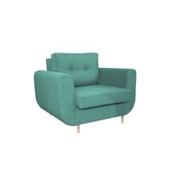 Кресло Dynan I-Endo 7707 цена и информация | Кресла в гостиную | 220.lv