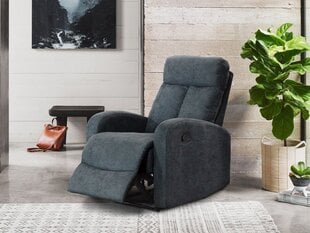 Кресло Isco 1 с функцией релаксации-103-32 (szary) цена и информация | Кресла в гостиную | 220.lv