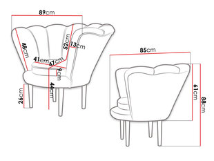 Кресло GRAYSON-Magic Velvet 2216 (бархат) цена и информация | Кресла в гостиную | 220.lv