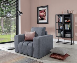 Krēsls E-LAZARO 1F-Primo 89 цена и информация | Кресла в гостиную | 220.lv