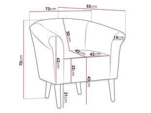Кресло ALEJANDRO 1-Manila 35 цена и информация | Кресла в гостиную | 220.lv