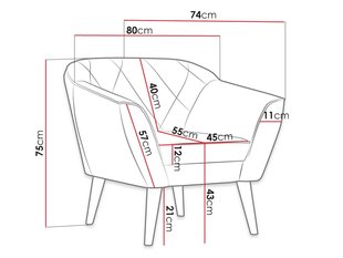Кресло JIMENA 1-Manila 13 цена и информация | Кресла в гостиную | 220.lv