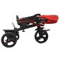 Trīsritenis Urban Trike Basic Molto (99 cm) cena un informācija | Trīsriteņi | 220.lv