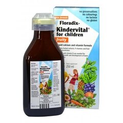 Тоник Floradix Kindervital, 250мл цена и информация | Витамины, пищевые добавки, препараты для хорошего самочувствия | 220.lv