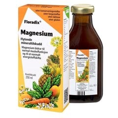 Uztura bagātinātājs Floradix Magnesium šķidrums 250ml cena un informācija | Vitamīni, preparāti, uztura bagātinātāji labsajūtai | 220.lv