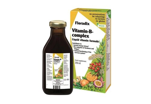 Uztura bagātinātājs - šķidrums Floradix B-complex, 250 ml cena un informācija | Vitamīni, preparāti, uztura bagātinātāji labsajūtai | 220.lv