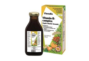 Uztura bagātinātājs - šķidrums Floradix B-complex, 250 ml cena un informācija | Vitamīni, preparāti, uztura bagātinātāji labsajūtai | 220.lv