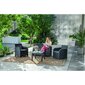 Dārza mēbeļu komplekts Rosalie Set ar galdiņu Classic pelēks cena un informācija | Dārza mēbeļu komplekti | 220.lv