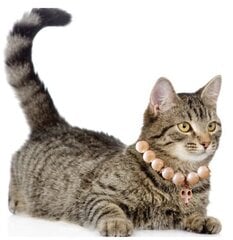 Ожерелье из бисера для кошек и собак без застежки kaina ir informacija | Поводки и ошейники для кошек | 220.lv