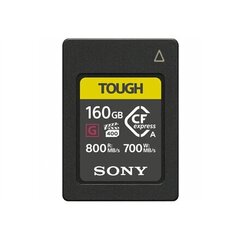 Sony CEAG160T.SYM, 160GB цена и информация | Карты памяти для мобильных телефонов | 220.lv