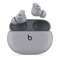 Beats Studio Buds TWS – Moon Grey MMT93ZM/A cena un informācija | Austiņas | 220.lv