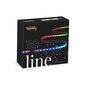 TWINKLY Line 90 Extension Kit (TWL100ADP-B) Smart LED strip 90 LED RGB 1,5 m цена и информация | Ziemassvētku lampiņas, LED virtenes | 220.lv