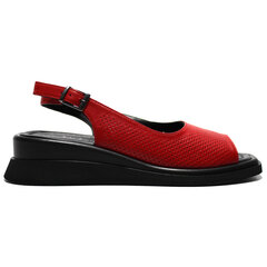 Кожаные туфли Lizzaro 166295 цена и информация | Женские сандалии Libra Pop, чёрные | 220.lv