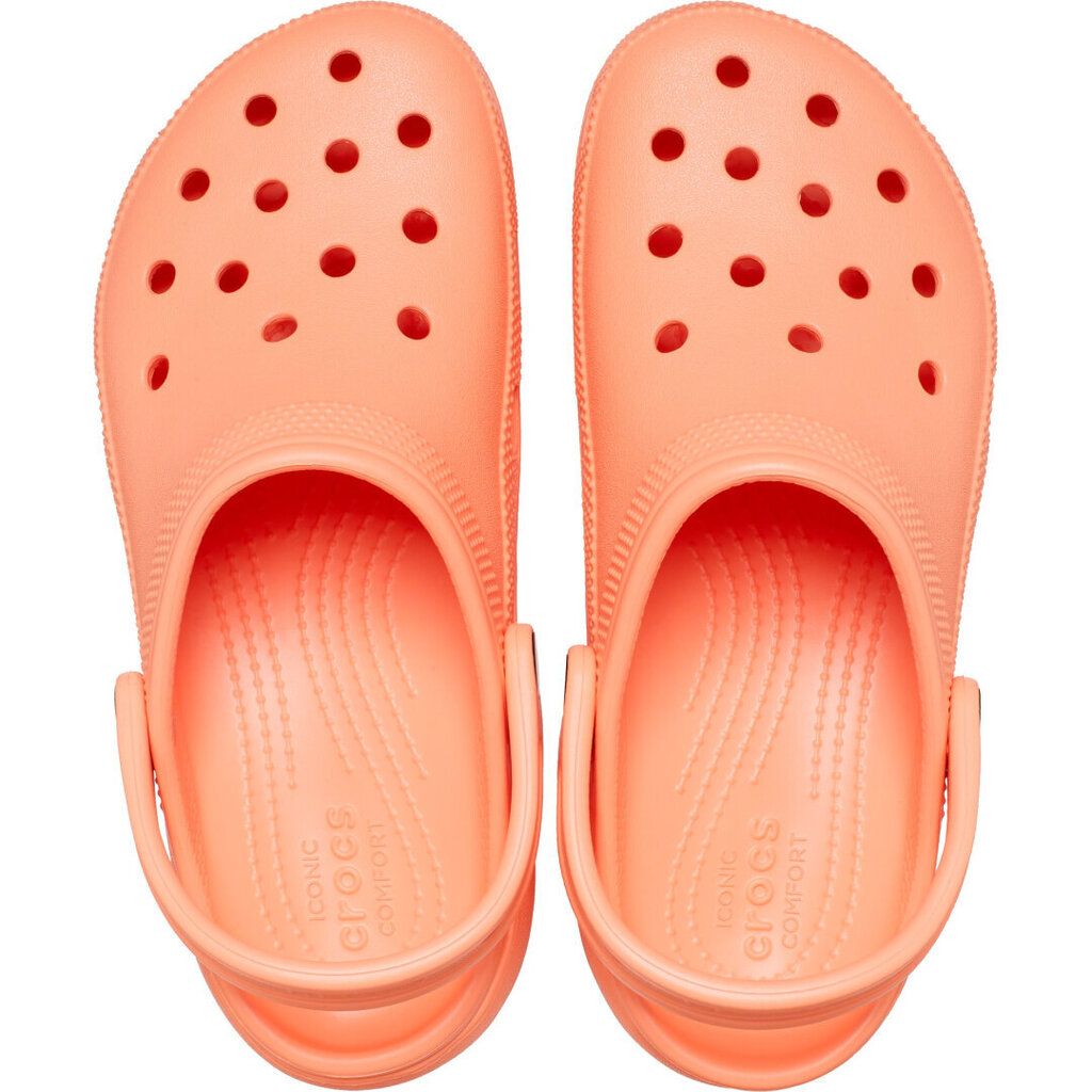 Crocs™ Classic Platform Clog 180258 цена и информация | Sieviešu sandales | 220.lv