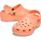 Crocs™ Classic Platform Clog 180258 цена и информация | Sieviešu sandales | 220.lv