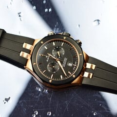 Мужские часы Edox Delfin 10110 357RNCA NIR цена и информация | Мужские часы | 220.lv