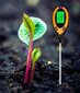 Skābuma mērītājs - augsnes pH mērītājs цена и информация | Mitruma, temperatūras, pH, ORP mērītāji | 220.lv