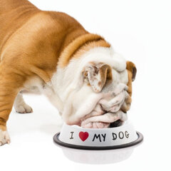 Mājdzīvnieku barības trauciņš I Love My Dog cena un informācija | Bļodas, kastes pārtikas | 220.lv