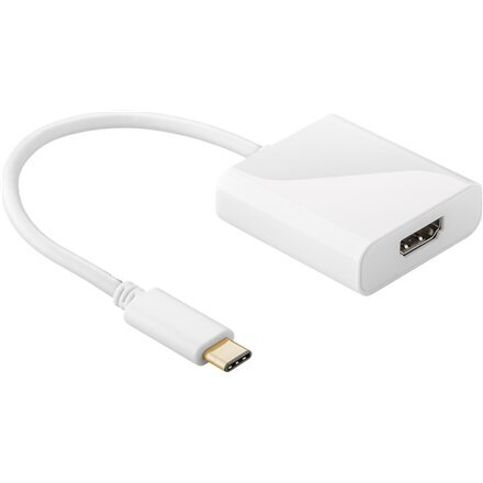 Goobay 66259 cena un informācija | Adapteri un USB centrmezgli | 220.lv