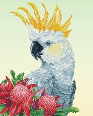 Алмазная мозаика White Cockatoo Warathas, 41x51 цена и информация | Алмазная мозаика | 220.lv