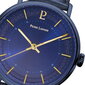 Vīriešu pulkstenis Pierre Lannier Gaius 205J466 cena un informācija | Vīriešu pulksteņi | 220.lv