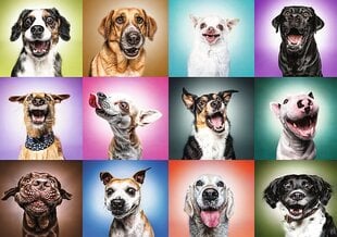 TREFL Prime puzle Smieklīgie suņi, 1000 gab. cena un informācija | Puzles, 3D puzles | 220.lv