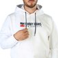 Tommy Hilfiger - DM0DM13878 74348 DM0DM13878_YBR-L cena un informācija | Vīriešu džemperi | 220.lv