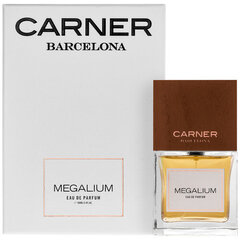 Custo Barcelona Megalium EDP 100ml цена и информация | Женские духи | 220.lv